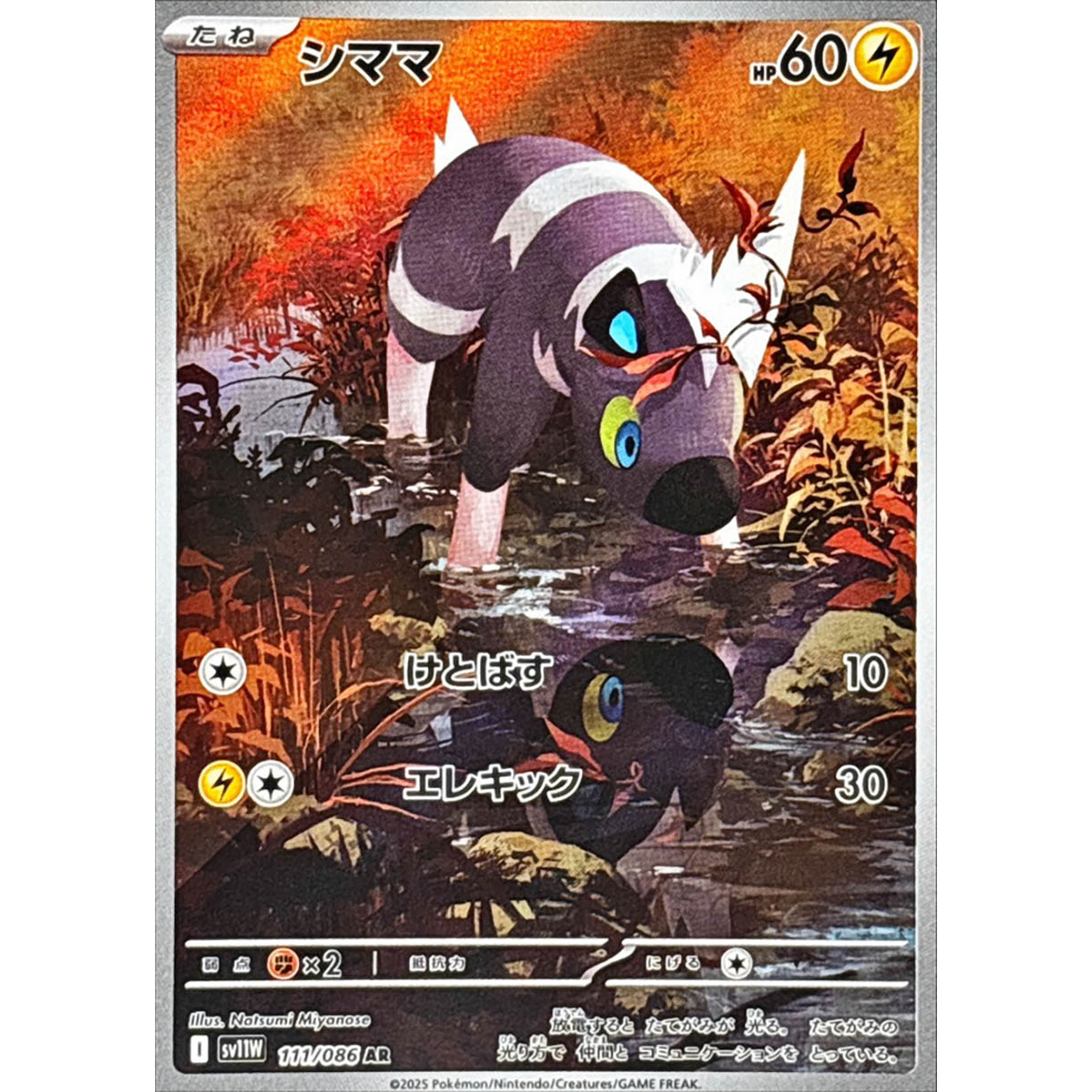 Blitzle AR 111/086 SV11W White Flare Japanese Pokemon Card