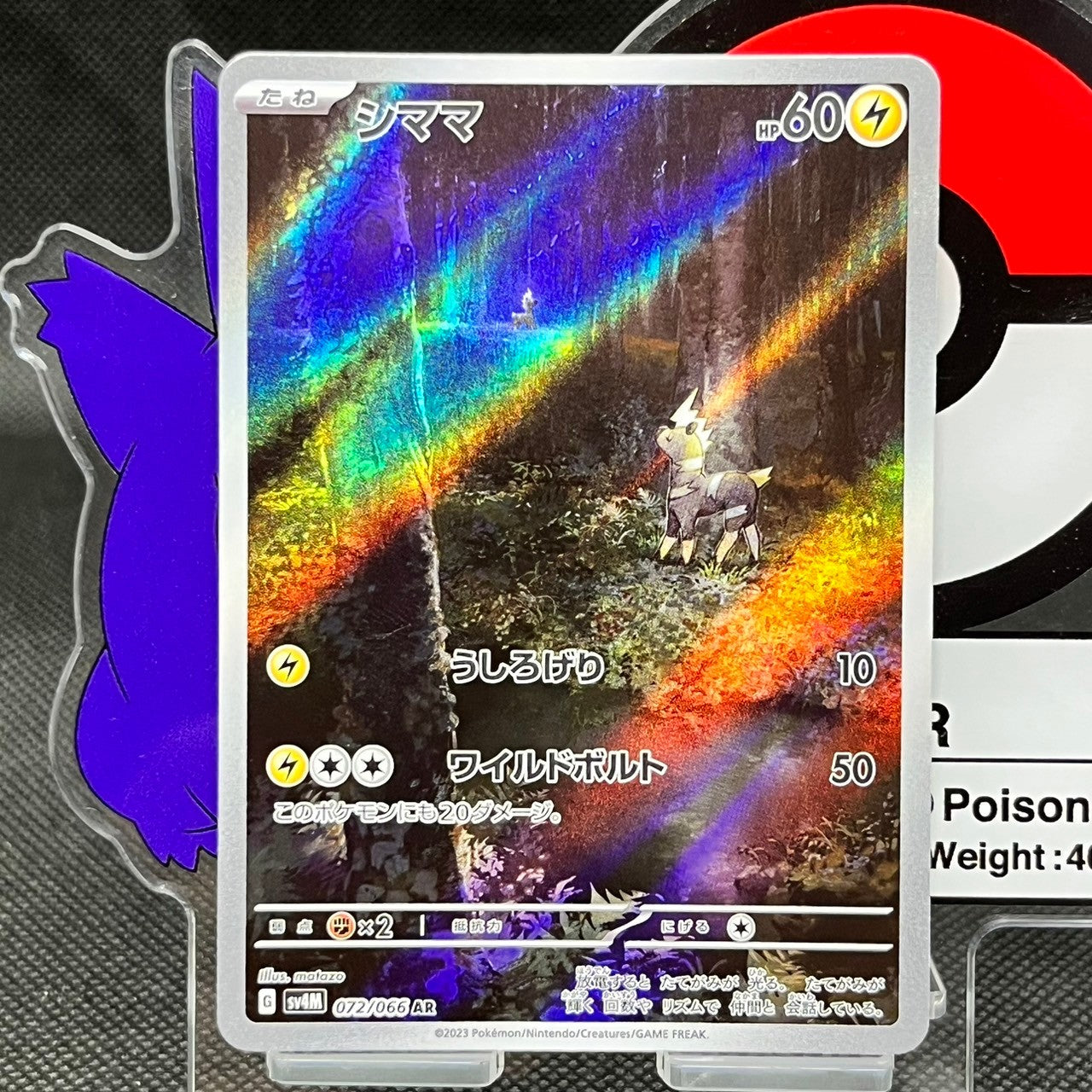 Blitzle AR 072/066 SV4M Future Flash Japanese Pokemon Card