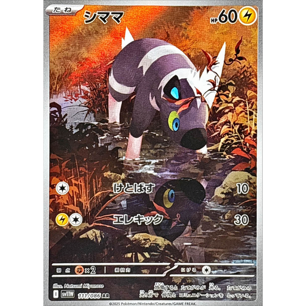 Blitzle AR 111/086 SV11W White Flare Japanese Pokemon Card