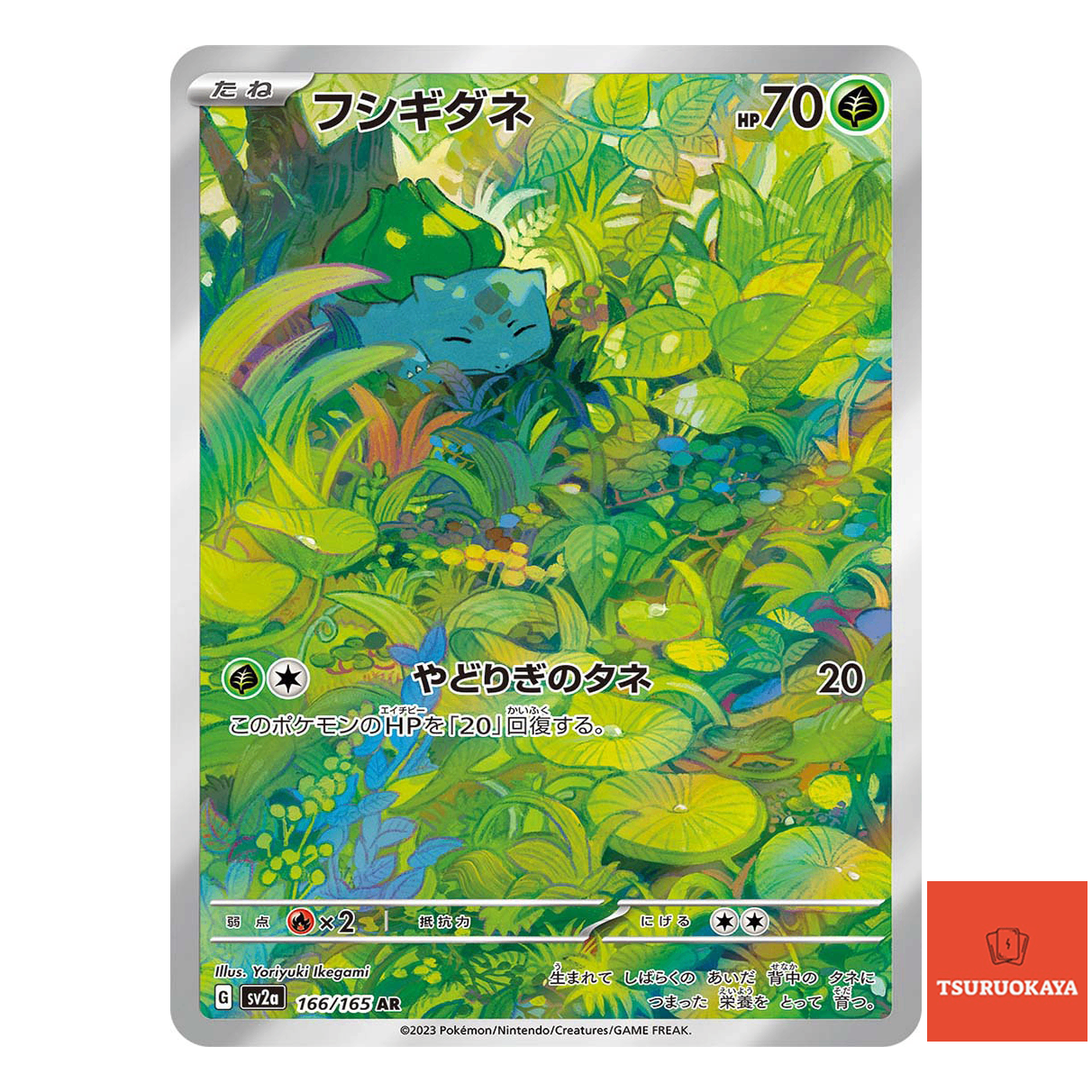 Bulbasaur AR 166/165 SV2a 151 Japanese Pokemon Card TSURUOKAYA Bulbasaur AR 166/165 SV2a 151 Japanese Pokemon Card TSURUOKAYA