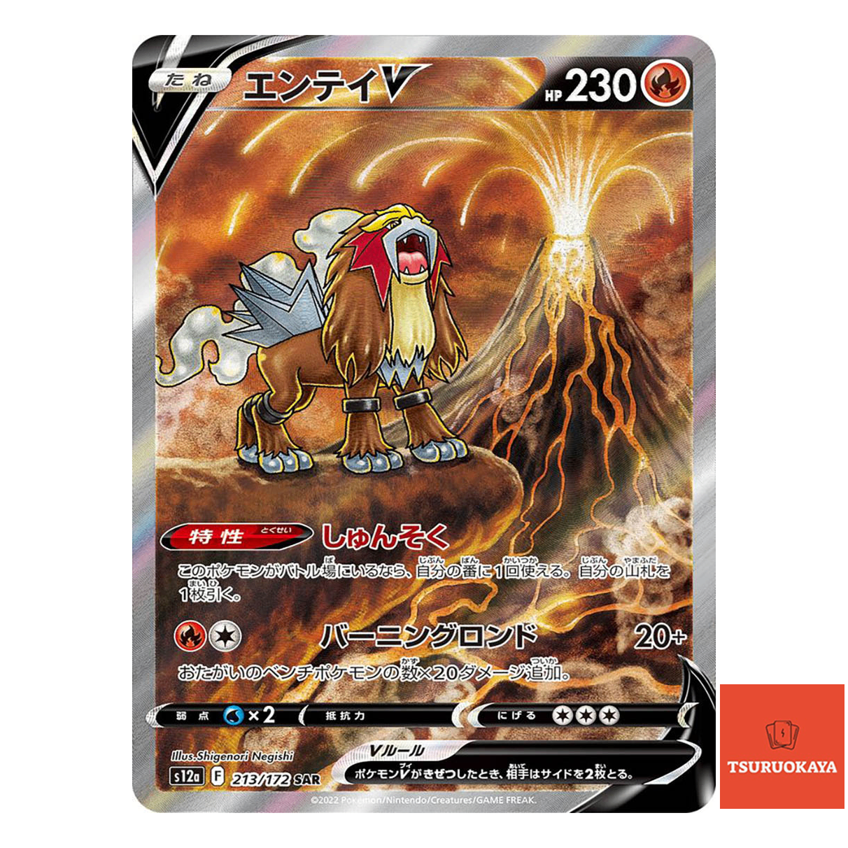 Entei V  SAR 213/172 S12a VSTAR Universe Japanese Pokemon Card