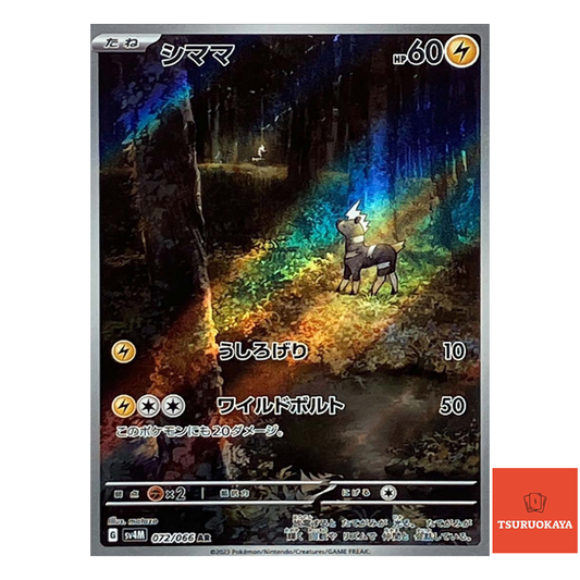 Blitzle AR 072/066  SV4M Future Flash Japanese Pokemon Card