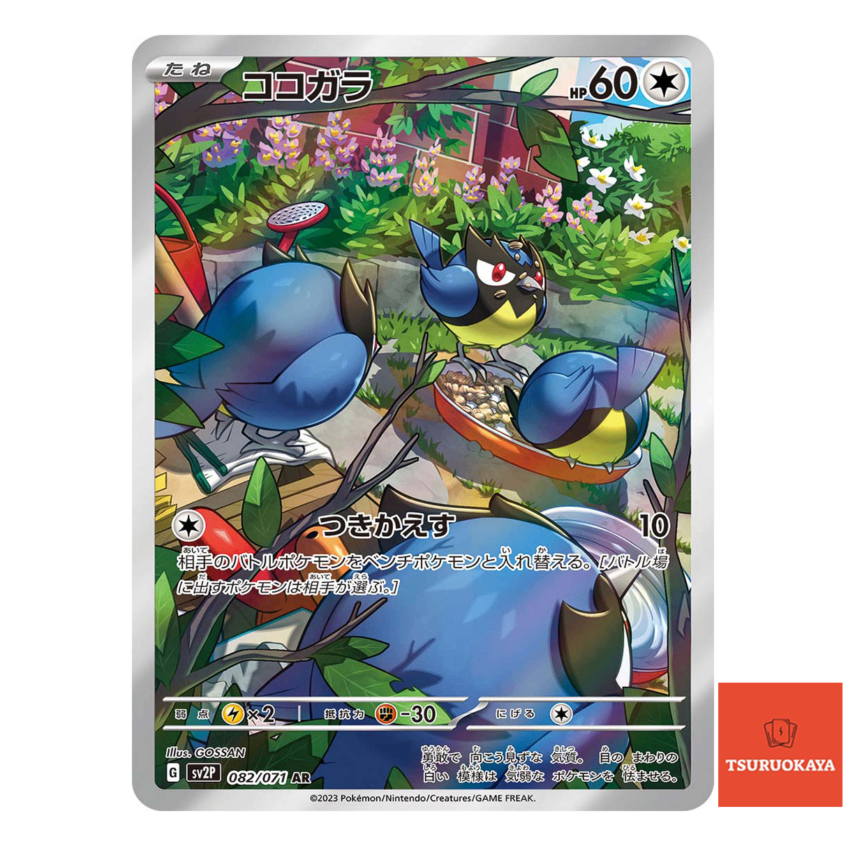 Rookidee AR 082/071  SV2P Snow Hazard Japanese Pokemon Card