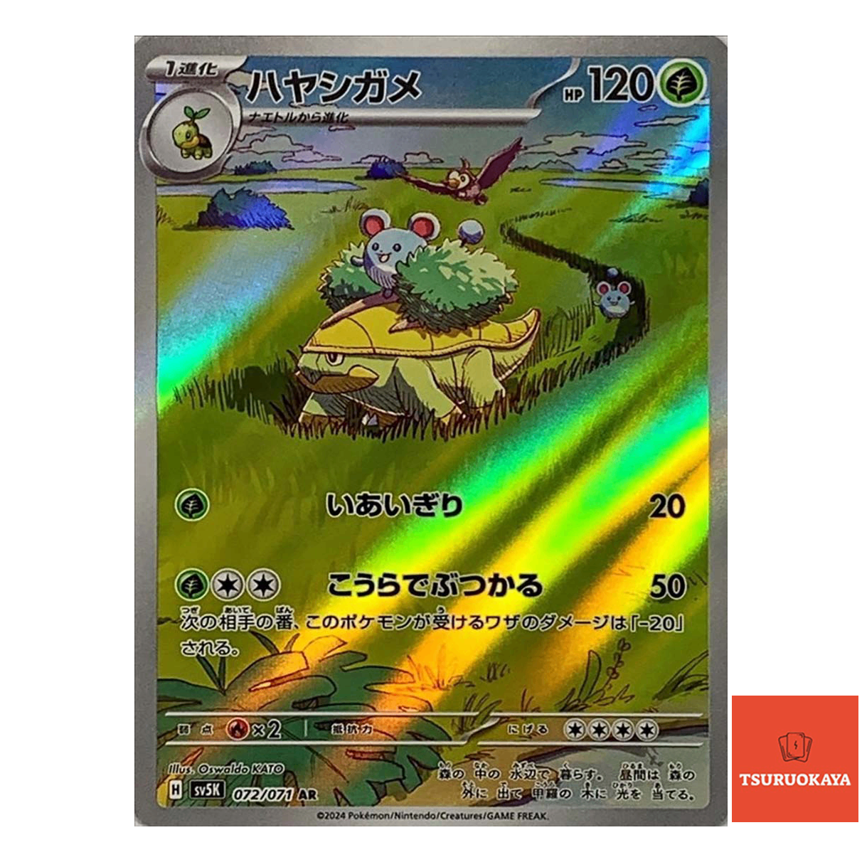 Grotle AR 072/071  SV5K Wild Force Japanese Pokemon Card