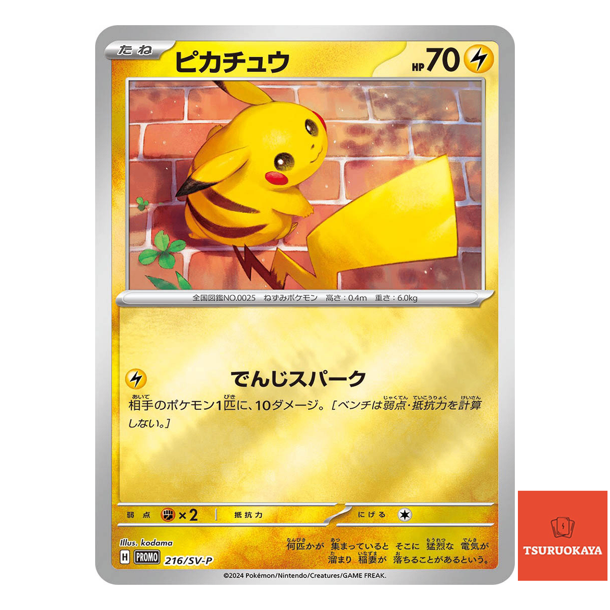 Pikachu  PROMO 216/SV-P Summer Promo Japanese Pokemon Card